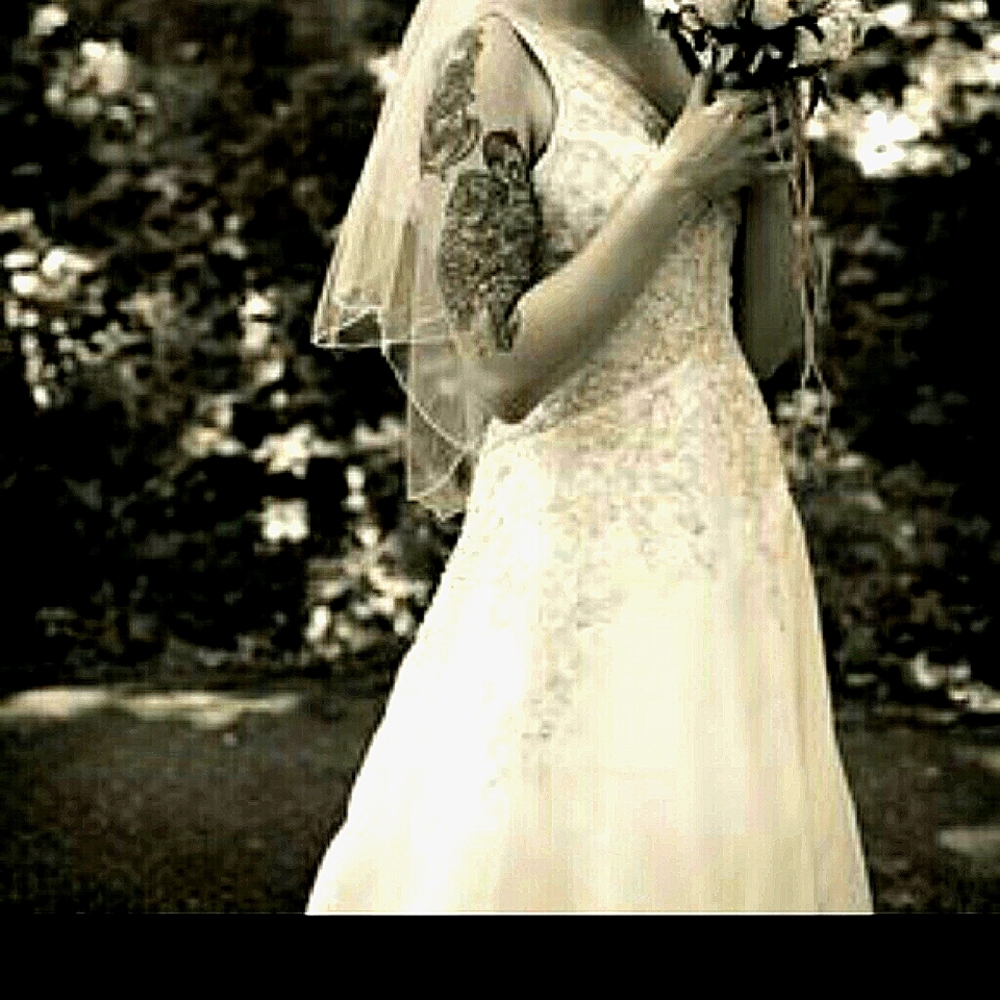 Brand new Champagne/silver beaded wedding dress